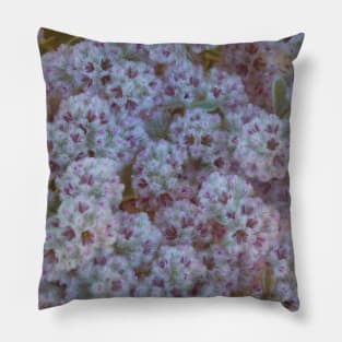 White and Pink Australian Wildflowers Pillow