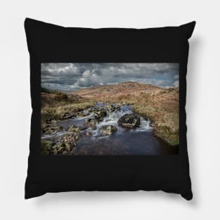 Glenmalure - Wicklow Ireland Pillow