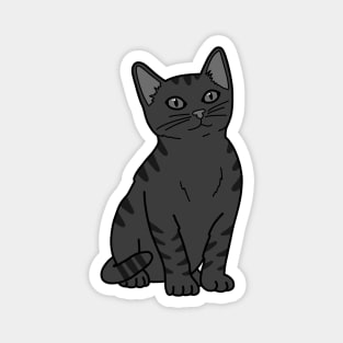 Cute Gray Cat Magnet