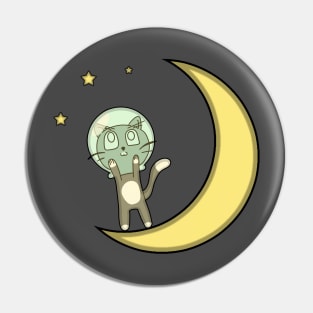 Cat Moon Pin