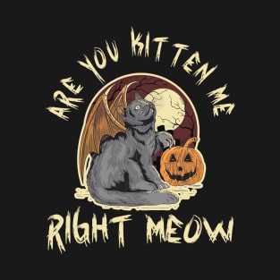 Are You Kitten Meow Right Now - Funny Halloween Cat Pun, Halloween Cat Humor, Halloween Cat Quote, Dark Night Grave Grim Design Funny Gift Idea For Cat Lover T-Shirt