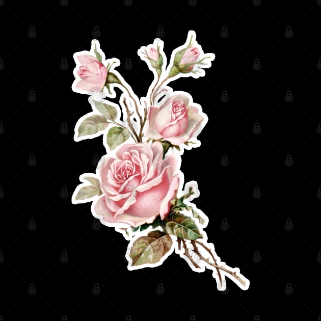 Vintage Victoriana Rose Illustration Design by DankFutura