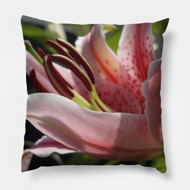 Beautiful photograph of lily flower Pillow by Annalisseart24