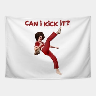 Can i kick it? Sally Omalley Tapestry