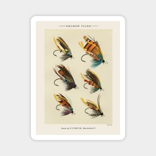 Salmon Flies Poster (1892) by Mary Orvis Marbury Magnet