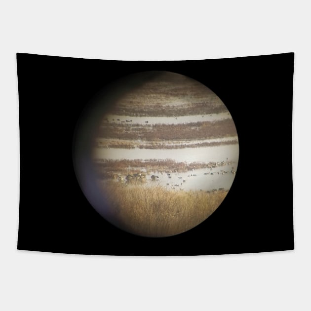 Jupiter Ducks Tapestry by karutees