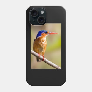 Malachite Kingfisher, Zambia Phone Case