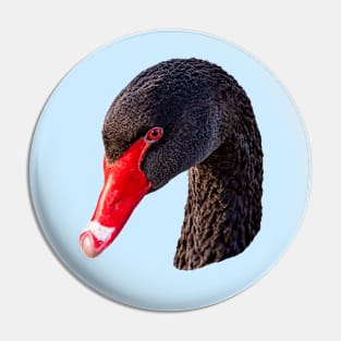 Head of a majestic Black Swan Pin