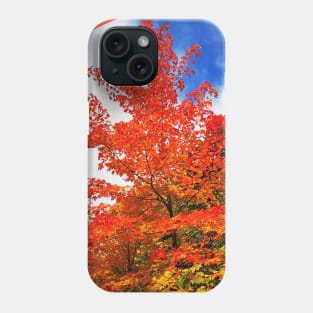 Autumn trees, Indian Summer, Fall - Canada Phone Case