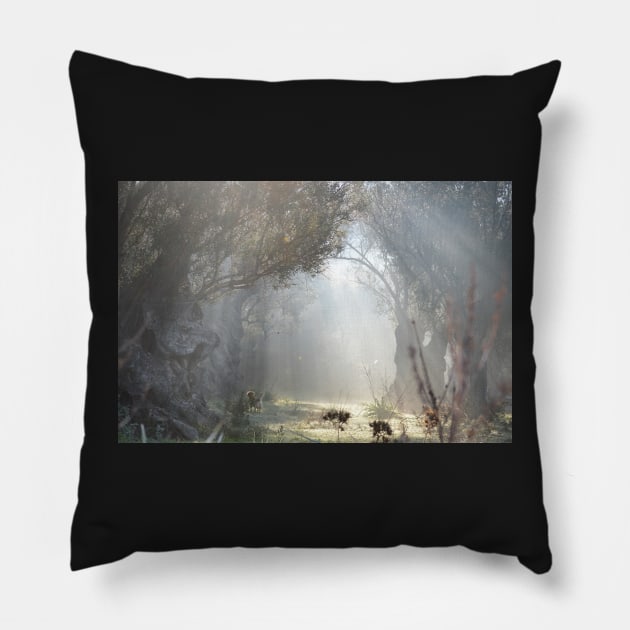 Clearing in the Forest Pillow by aeolia