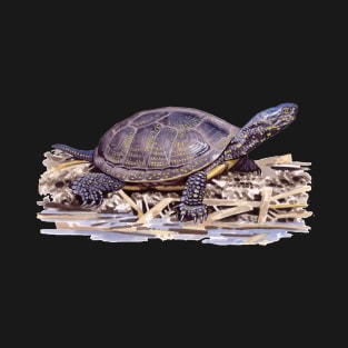 European pond turtle T-Shirt