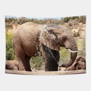 African Wildlife Photography Elephant Splashing Tapestry