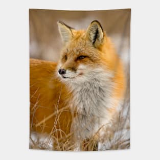 Red Fox Tapestry