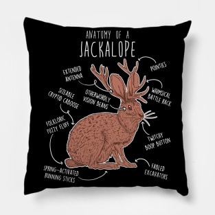 Jackalope Anatomy Pillow