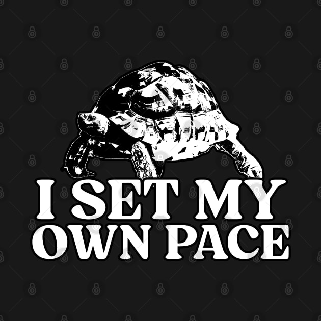 I Set My Own Pace by  TigerInSpace