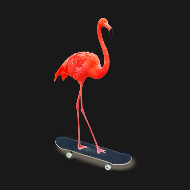 Skateboarding Flamingo by DavidLoblaw