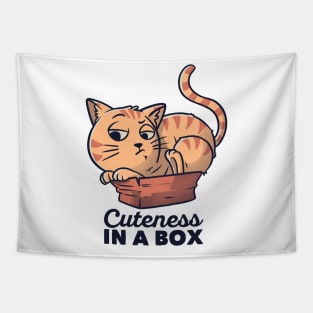Cuteness In A Box Funny Cat Gift Tapestry