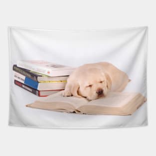 Sleeping labrador puppy with books Tapestry