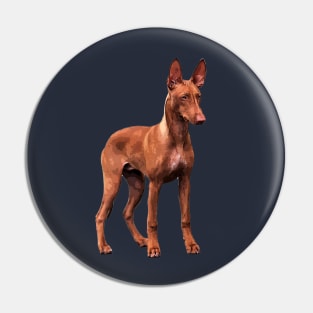 Pharaoh Hound Dog Pin