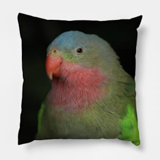 Portrait of a Sleepy Alexandra's / Princess Parrot Pillow