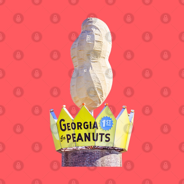 World's Largest Peanut by Enzwell