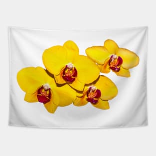 Yellow Orchid Corsage Tapestry