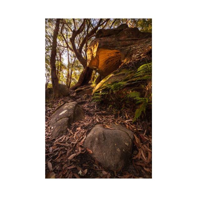 Cave In Bushland by Geoff79