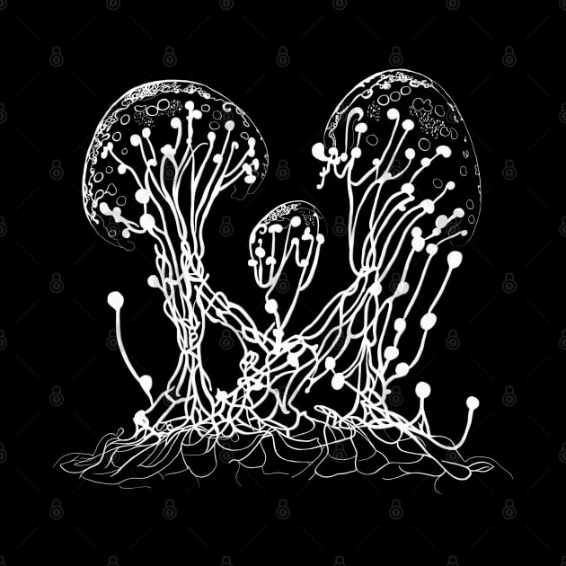Mycelial fantasy I by Lumot