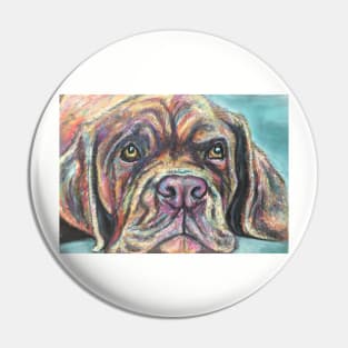 Colourful Dogue de Bordeaux Pin