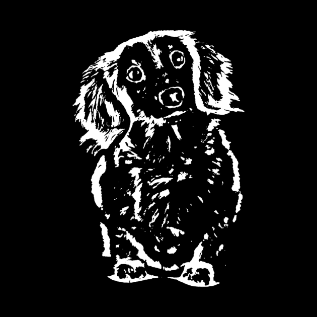 Long Haired Dachshund Sketch by Xamgi