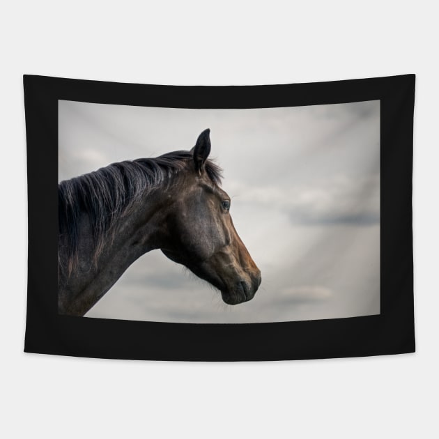 A horse portrait Tapestry by hton