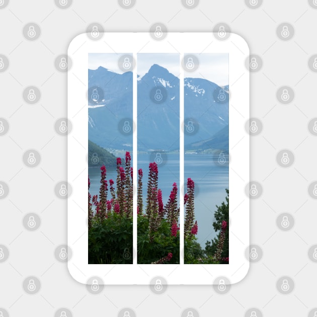 Wonderful landscapes in Norway. Vestland. Beautiful scenery of Romsdal Fjord from the Torvikeidet village. Nice flower composition in foreground. Snowed mountains Summer cloudy day (vertical) Magnet by fabbroni-art