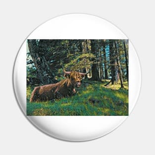 Highland Cow on Mull Pin
