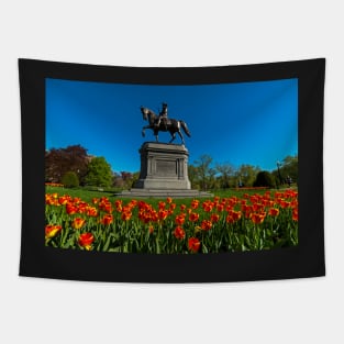 Boston Public Garden Tulips Boston MA Tapestry