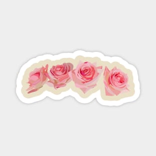 Pink roses Magnet