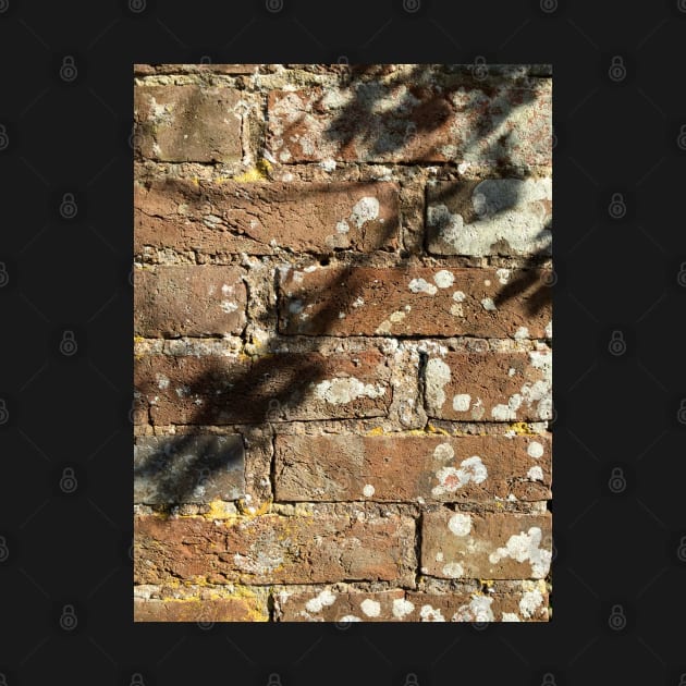 Old brick wall 2 by Dpe1974