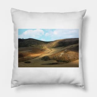 Sicilian Zen Garden. Fields XVII. 2011 Pillow