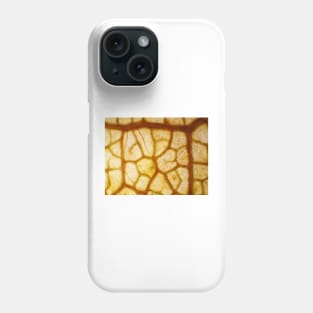 Red autumn maple leaf under the microscope Phone Case