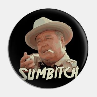 Retro Sumbitch Pin