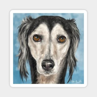 Painting of a Saluki Dog on Blue Background Magnet