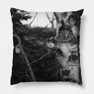 Mysterious Pointe a Bouleau Forest in Tracadie, New Brunswick Canada V4 Pillow