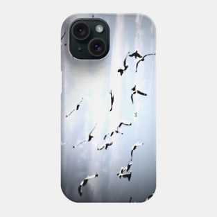 Die Vögel / Swiss Artwork Photography Phone Case