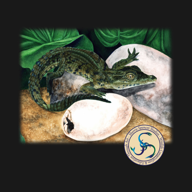 Baby Crocodile Hatchling by Sherrie Spencer Studios