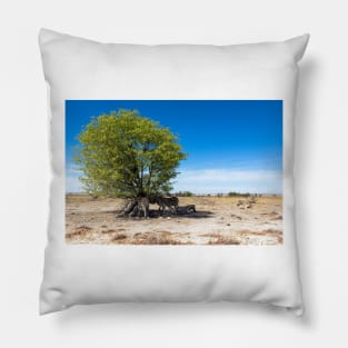 Zebras in the Shadow of the Only Tree - Etosha, Namibia Pillow