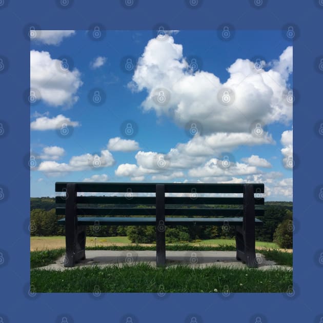 Mill Road Overlook - Sunny Summer Day by JossSperdutoArt