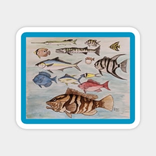 Saltwater Fish of the Sea Magnet