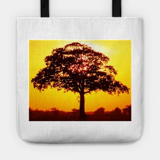 tree under the light of the sun Tote