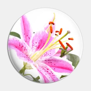 Pink Lily Illustration Pin