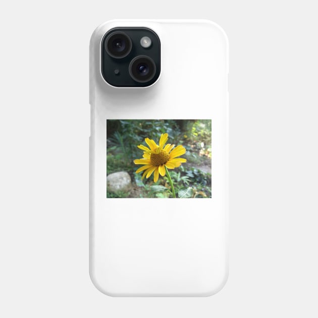 Yellow blossom Phone Case by Gourmetkater