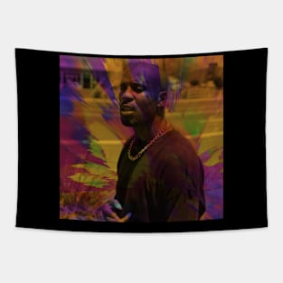 DMX Tapestry